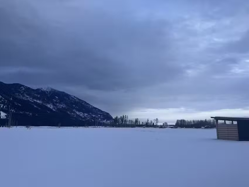 Swell Property Management