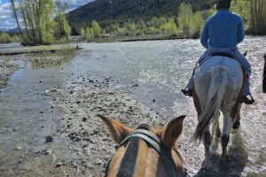 Swift Creek Outfitters – Teton Horseback Adventures
