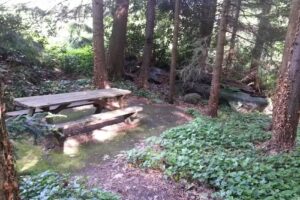 Sylvania Mountain Lodge