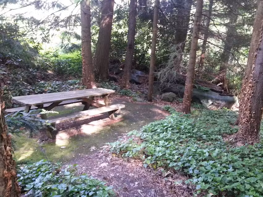 Sylvania Mountain Lodge