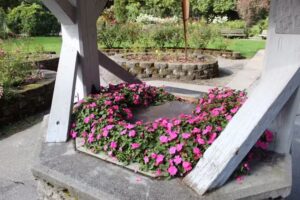 Tacoma Scenic Bus Tours LLC