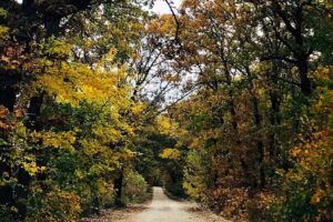 Tahlequah Area Chamber of Commerce