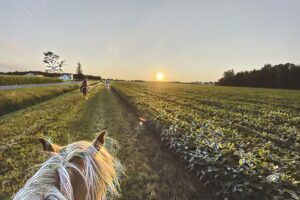 Tails and Trails Farm