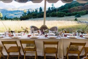 Telluride Sleighs and Wagons