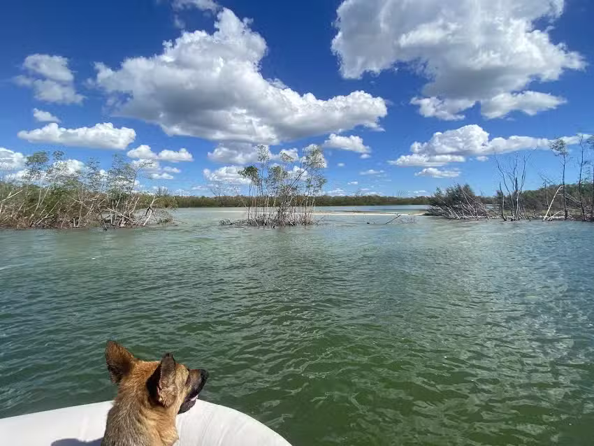 Ten Thousand Islands Fishing and Tours