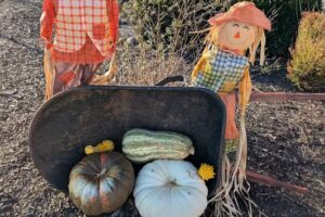 Tennessee Welcome Center