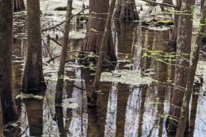 Tensas River National Wildlife Refuge Admin Building and Visitor Contact Station