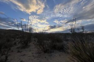 Terlingua Off-Road Tours