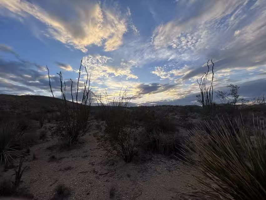 Terlingua Off-Road Tours