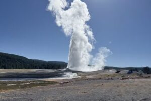 Teton Excursions – Yellowstone Tours