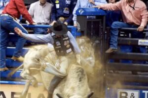 Texas Cowboy Travel, Inc.