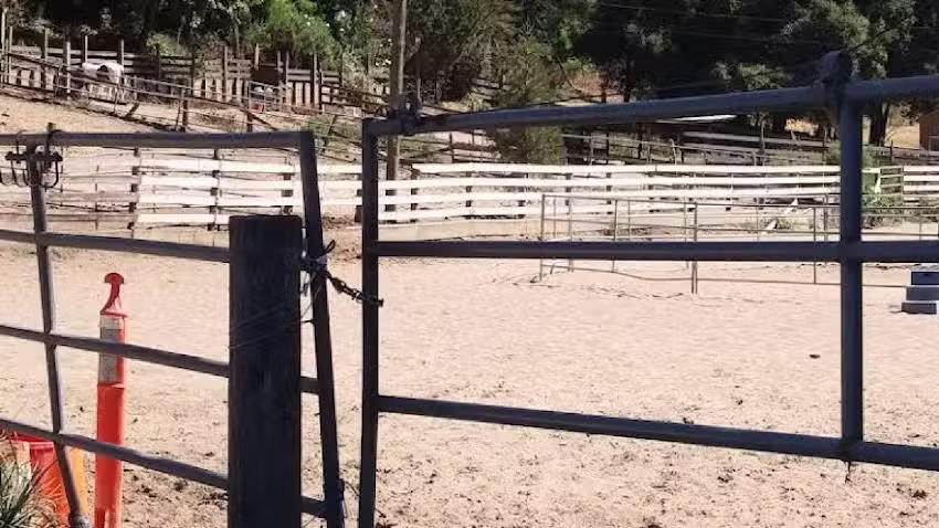 The Barn Boarding Stable