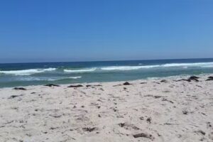 The Beach House on Harvest Cove