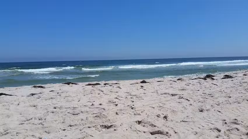 The Beach House on Harvest Cove