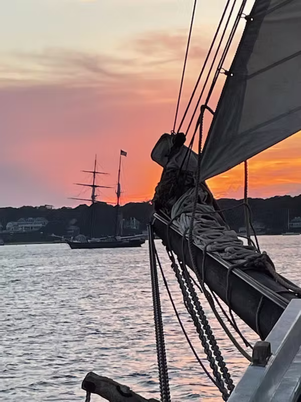 The Black Dog Tall Ships