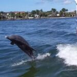 The Blue Dahlia Private Charters LLC