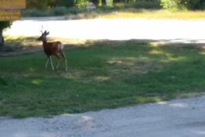 The Cabin at Riverside, Wyoming