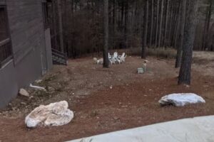 The Cabins at Broken Bow Lake