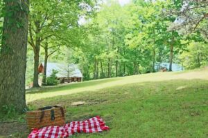 The Cabins at Copperhill, LLC