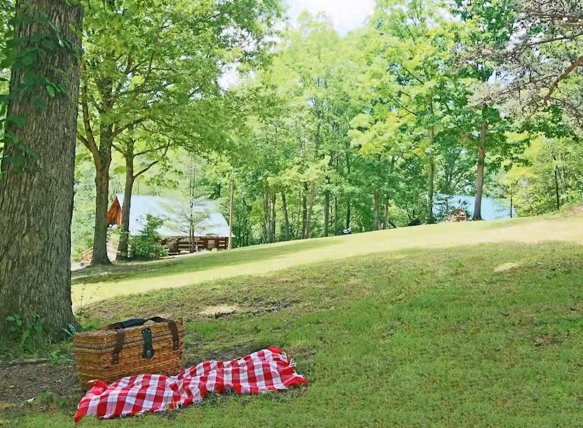 The Cabins at Copperhill, LLC