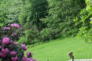 The Cabins at River’s Edge