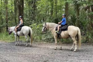 The Canyons Zip Line and Adventure Park
