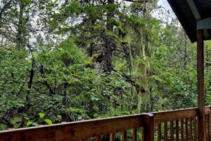 The Cottonwood Lodge & Cabin Rentals