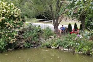 The Cove at Fairview