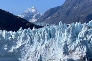 The Cruise and Vacation Authority