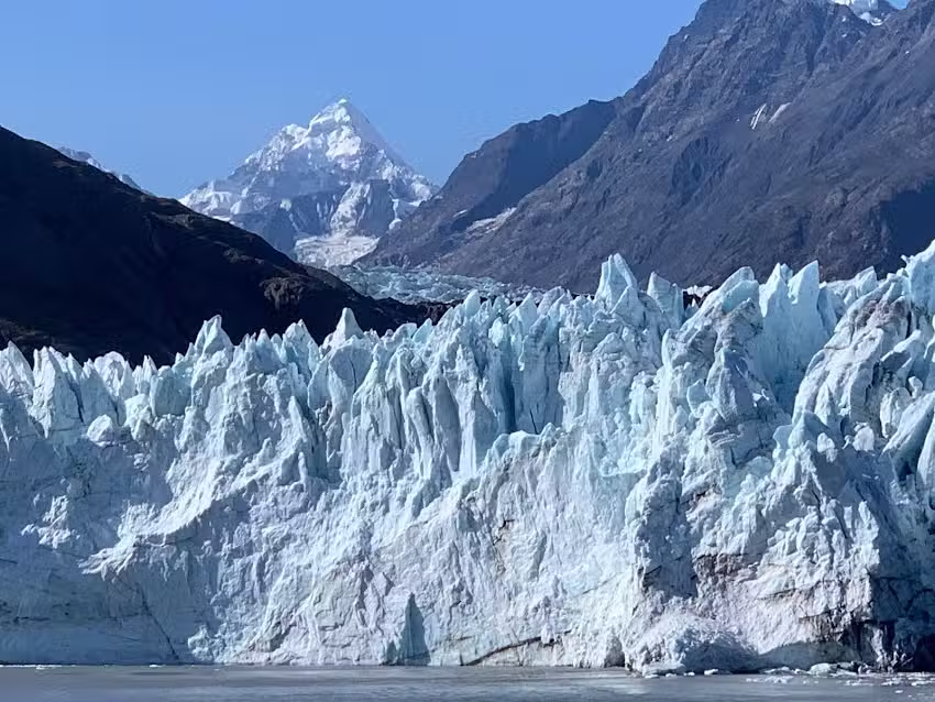 The Cruise and Vacation Authority