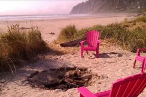 The Houses On Manzanita Beach