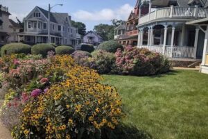 The Island Collection MV