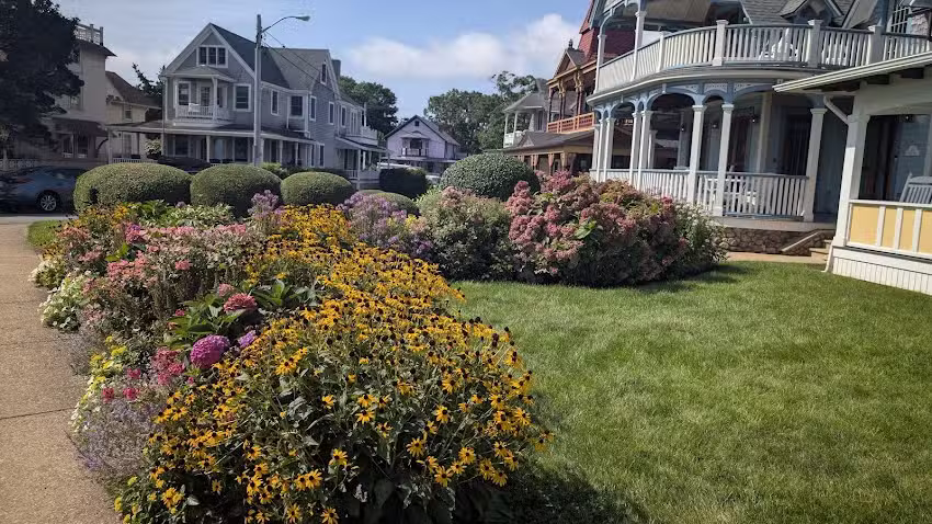 The Island Collection MV