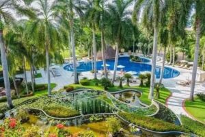 The Island Life Agency