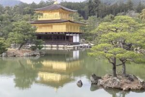 The Japan Tour Company