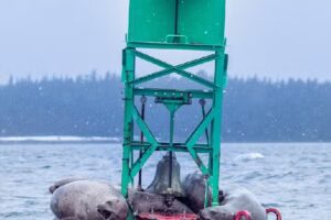 The Local Guy Charters & Sightseeing