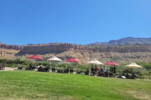 The Palisade Trolley