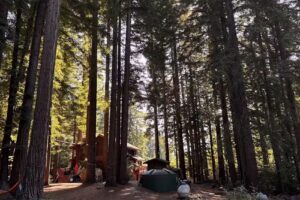 The Paradise Retreats