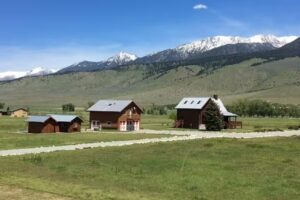 The Pleasant Pheasant