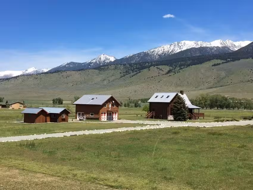 The Pleasant Pheasant