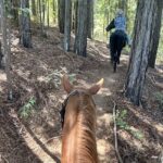The Ranch At Lake Sonoma