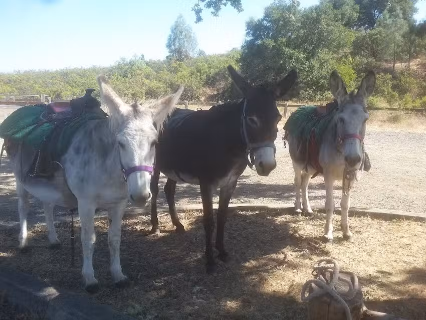 The Ranch At Lake Sonoma
