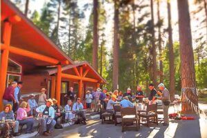 The Redwoods In Yosemite