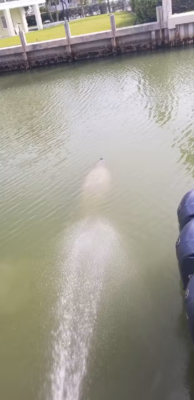 The Retreat in Marathon