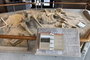 The Robert J. Lagomarsino Visitor Center at Channel Islands National Park