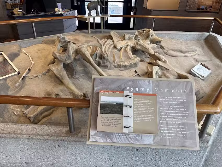 The Robert J. Lagomarsino Visitor Center at Channel Islands National Park