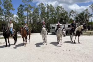 The Rusty Daisy Ranch