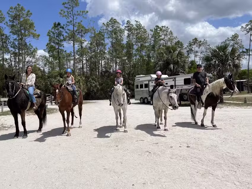 The Rusty Daisy Ranch