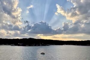 The Sparrow by The Octopus Dens