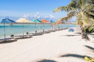 The Travel Collective